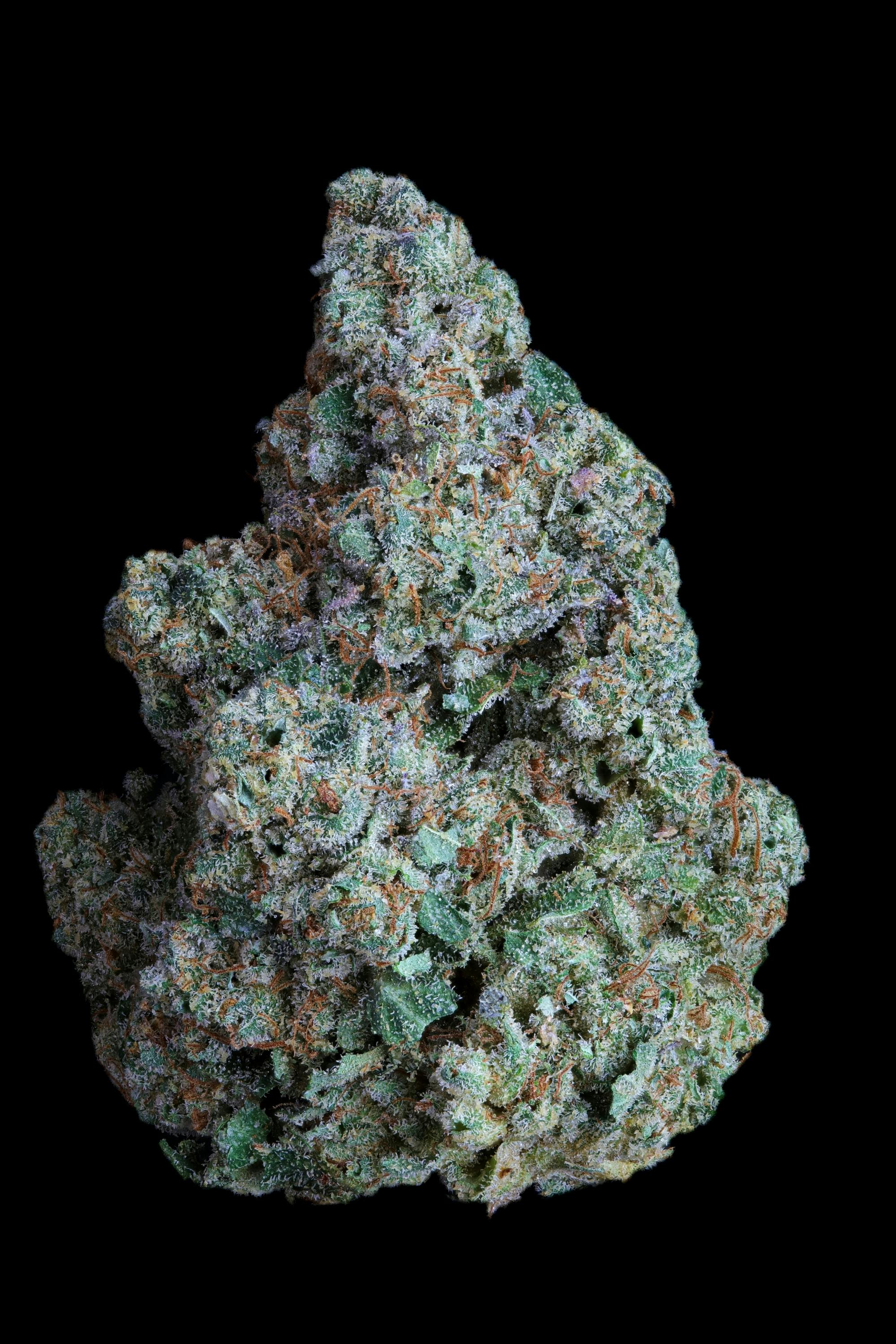 I - 7G Popcorn - Kaya