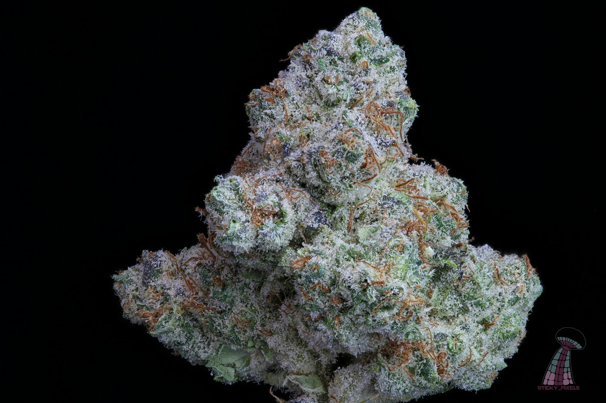 Zack's Pie - I - Popcorn 7G - Kaya