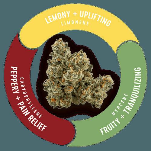 Vivid: Flower | Bananaconda cannabis product
