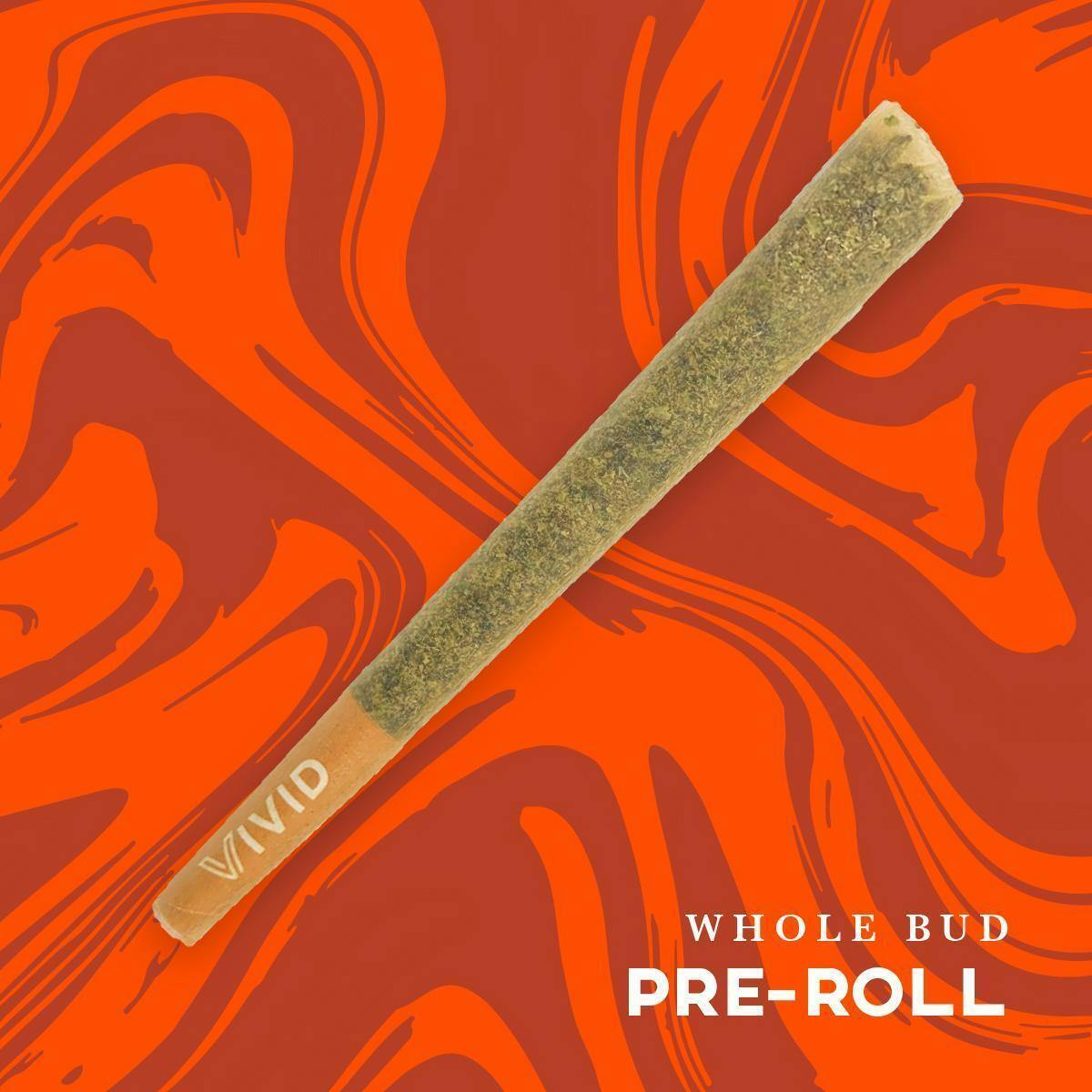 Vivid: Pre-Roll | Florida Kush