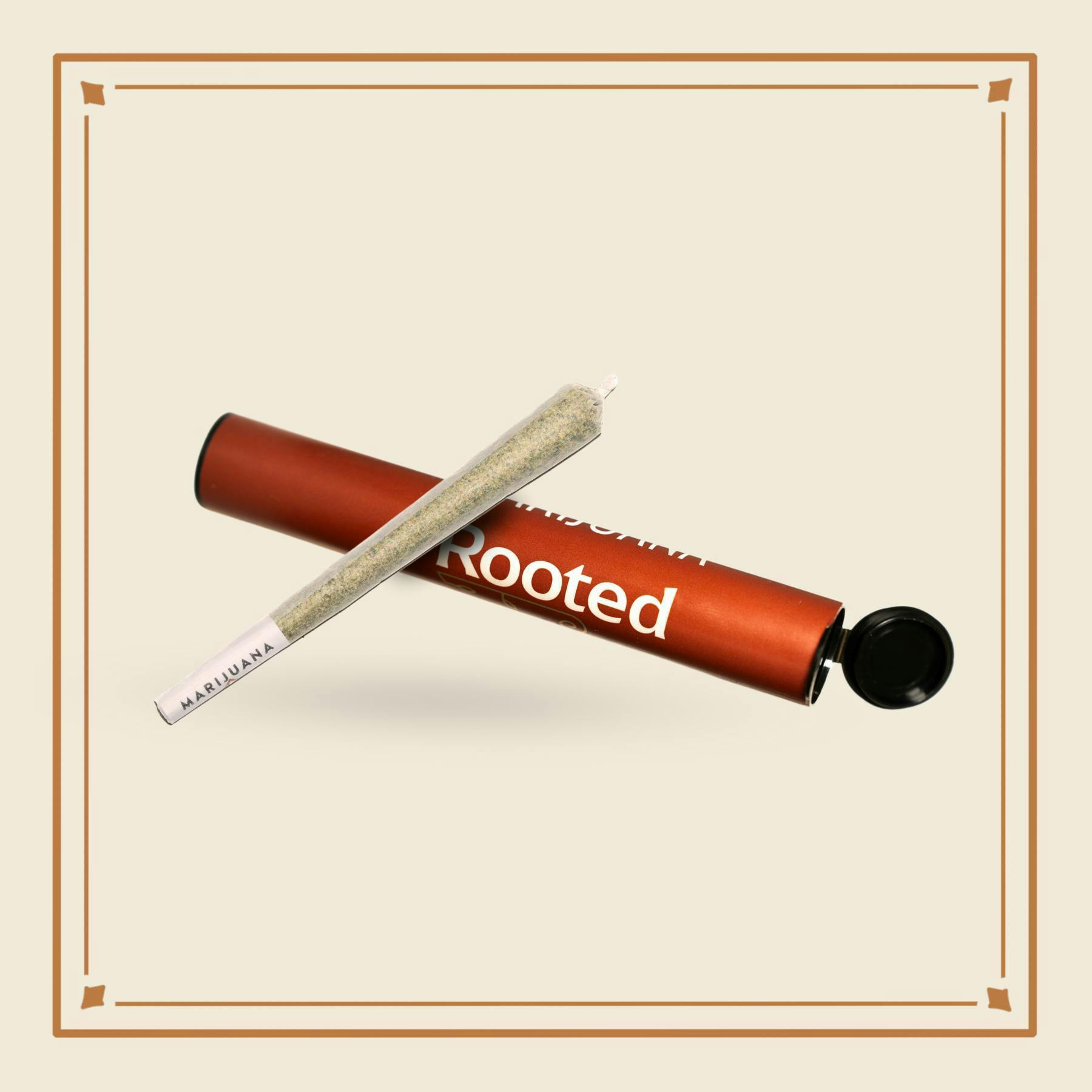 Rooted: Pre-Roll | Wedding Cake