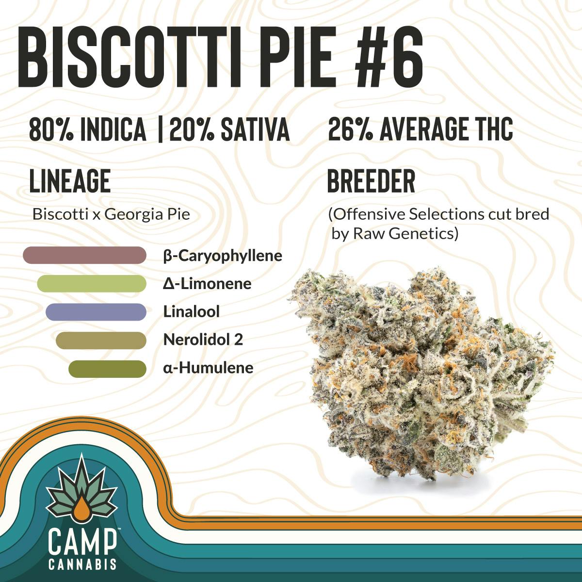 CAMP: Flower | Biscotti Pie #6