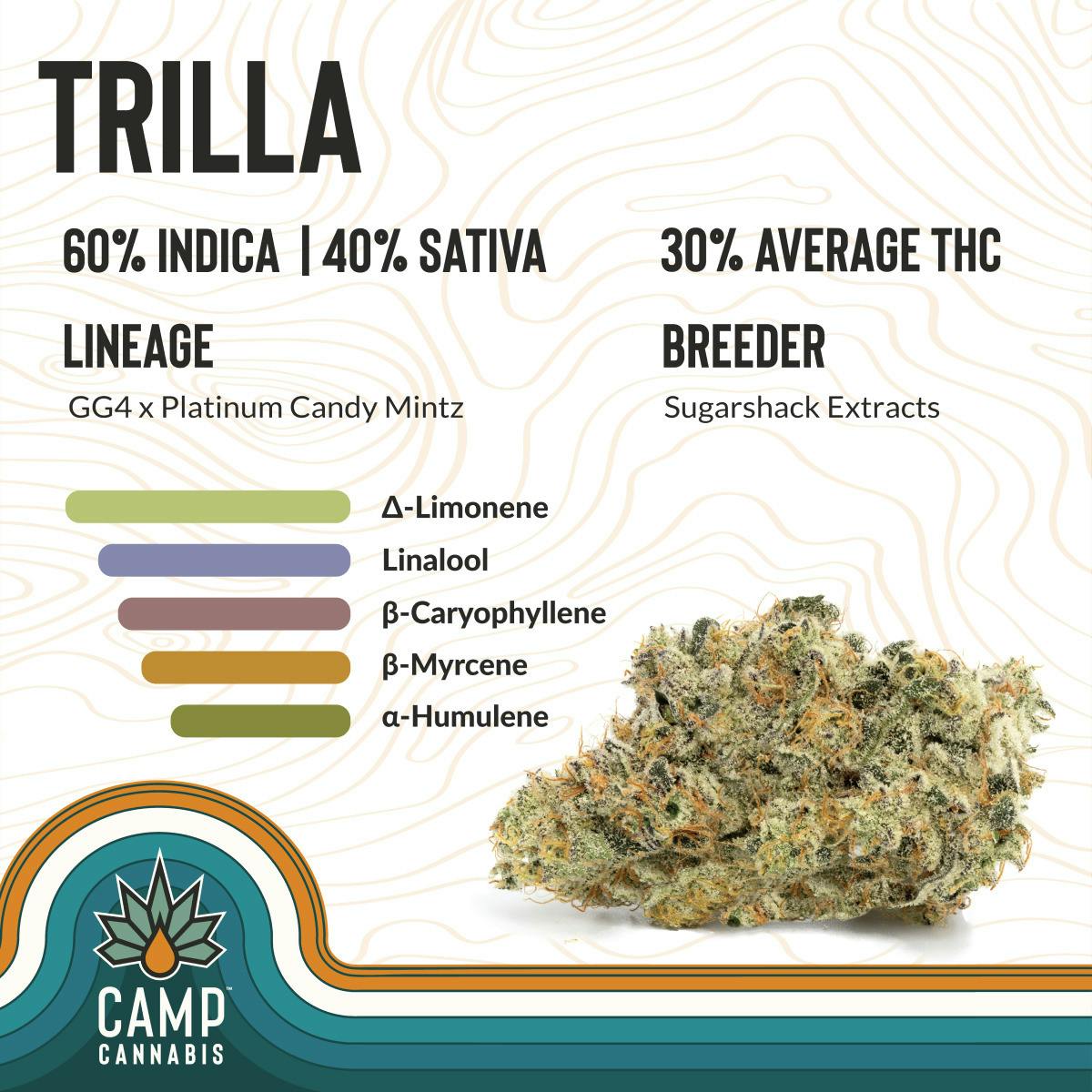 CAMP: Flower | Trilla