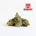 Packs Cannabis: Popcorn Flower | Guwop Green #12