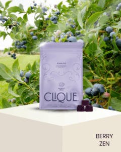 Gummy 10pk | Vegan | Berry Zen
