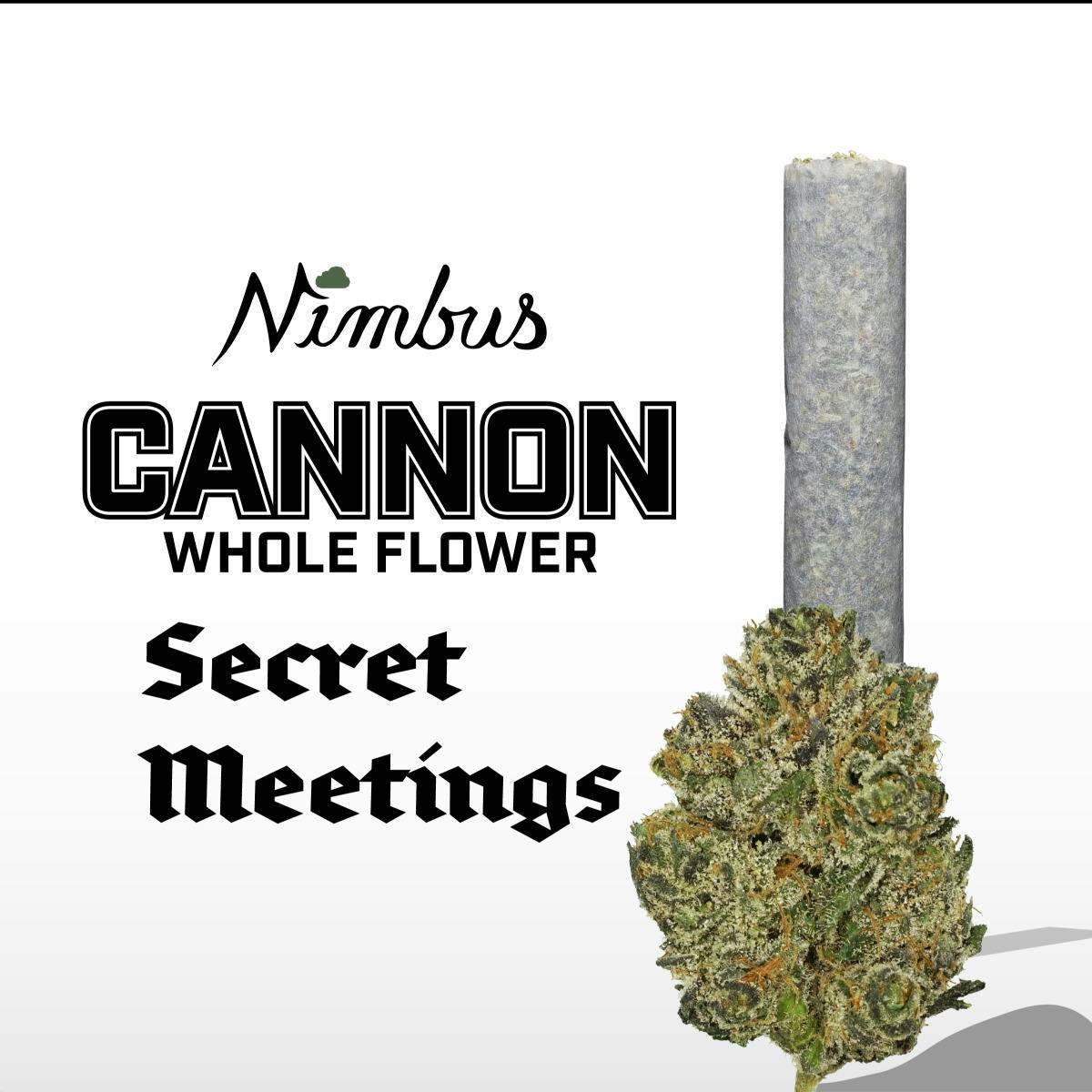 Pre-Roll | Secret Meetings