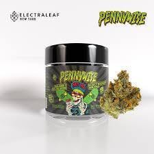 Electraleaf NY - Pennywise 3.5g | Indica-Leaning Hybrid | 30.8% THC