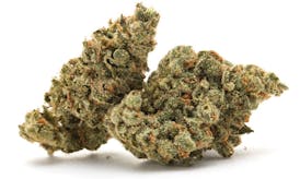 GG4