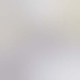 Blissful Berry Seltzer