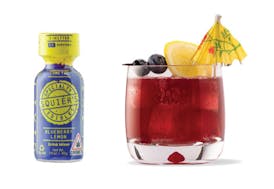 Shooter 10mg - Blueberry Lemon