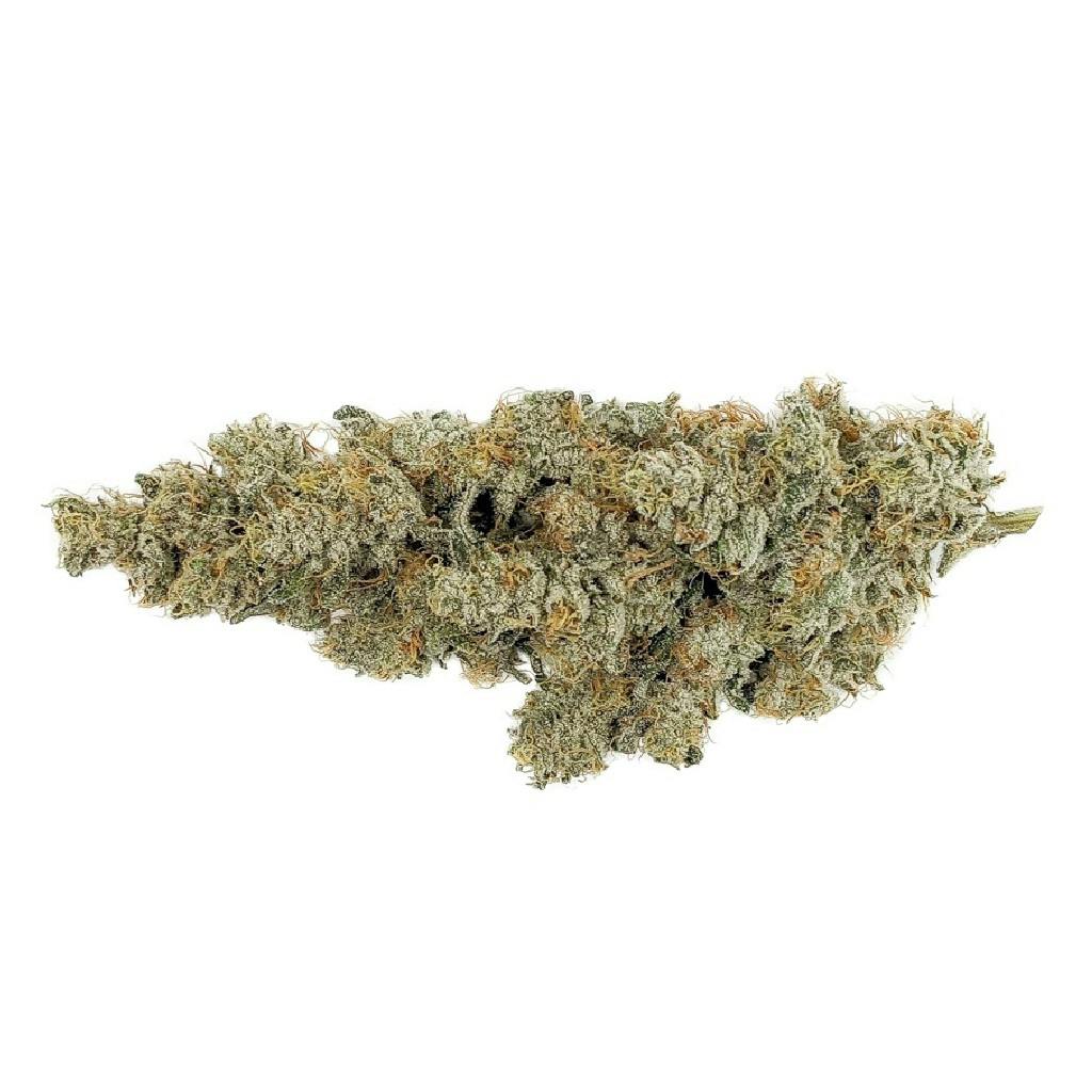 Msiku - ICC x Kush Mints 11 - Indica - 14g