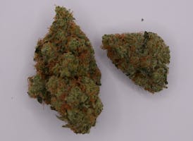 Crescendo | Flower | 14g | 1/2 oz |