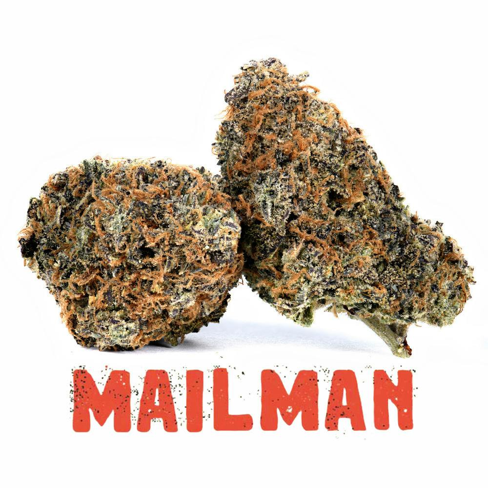 Mailman - Smediums