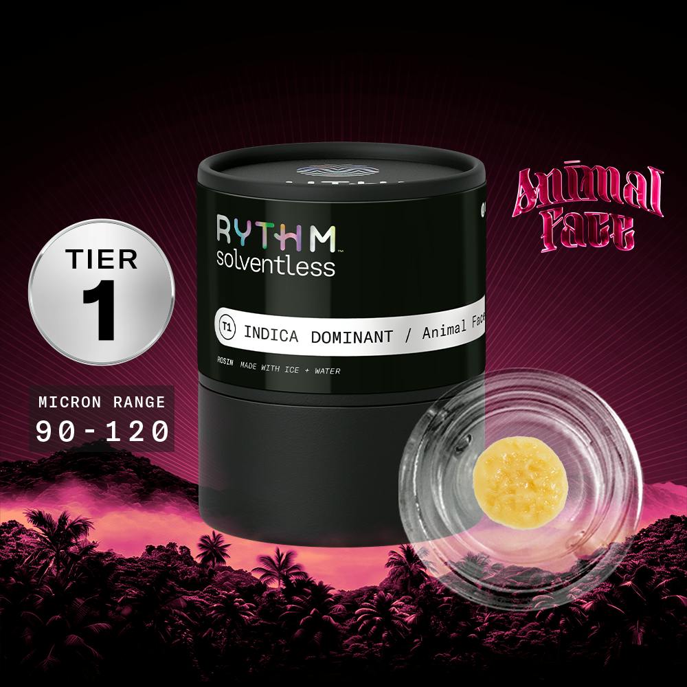 Animal Face Solventless Tier 1 Rythm