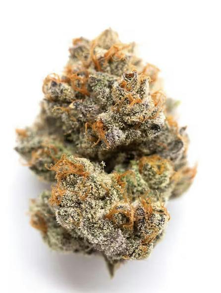 Scented Marker | Deli Jar | Hybrid | Strawberry Field 2.0