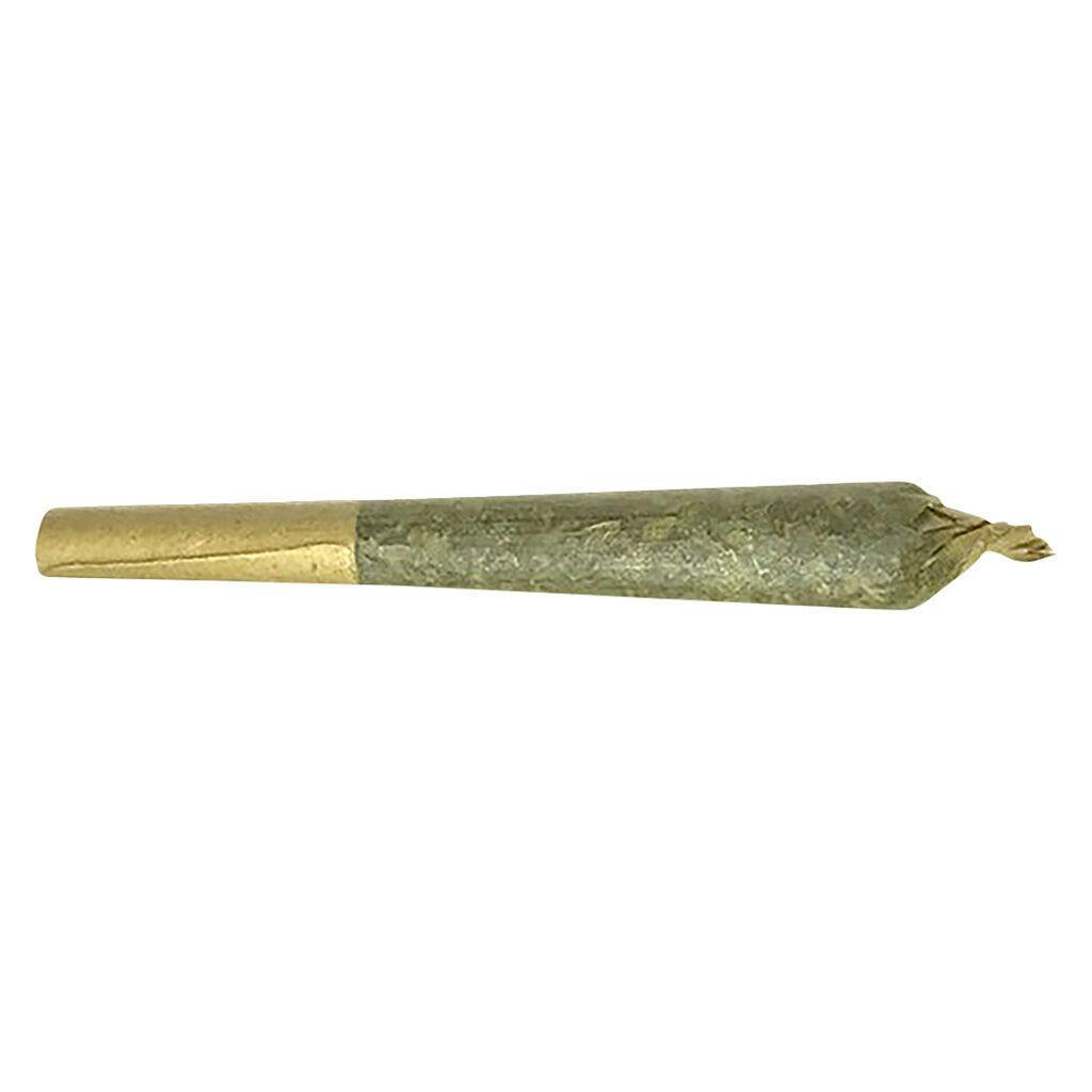 Fleur de L'Ile - Jack Herer Pre-Roll - 7x0.5g