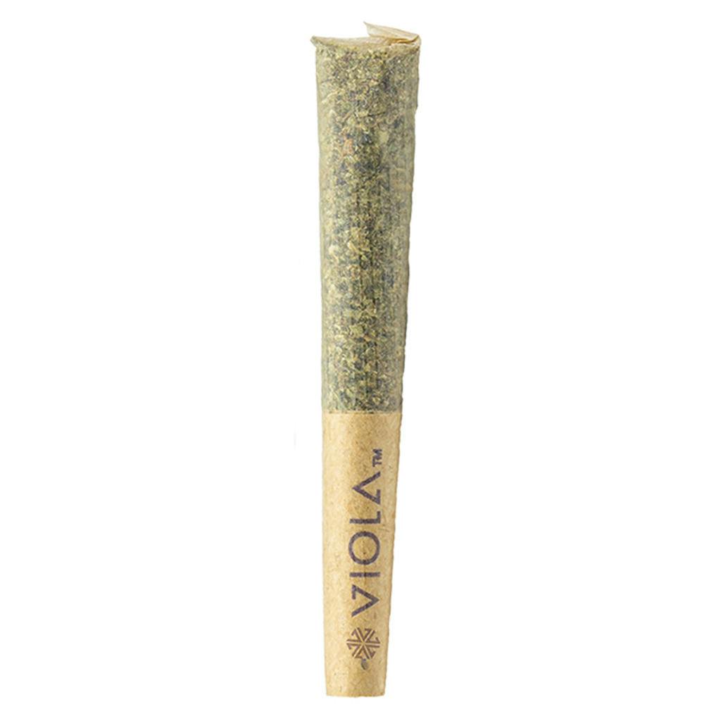 Viola - Bucketz Loosies - 10x0.3g