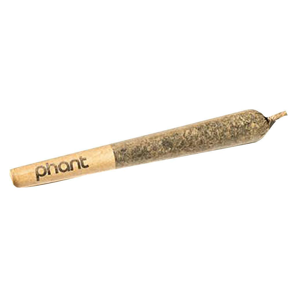 Phant - Flavoured THCa Diamond Infused Pre-Roll - Orange Cream - 1x1g