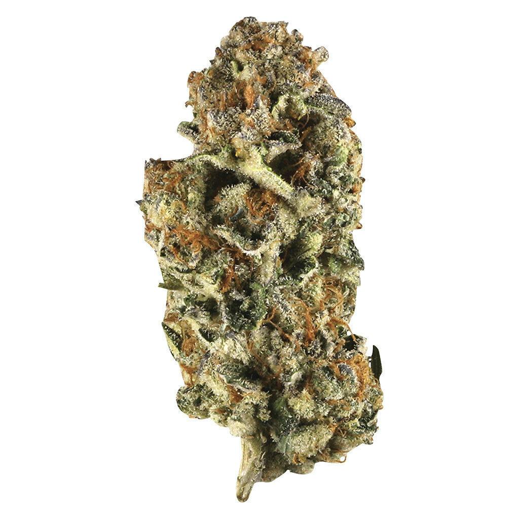 Station House - Canadian Northern Series - 3.5g