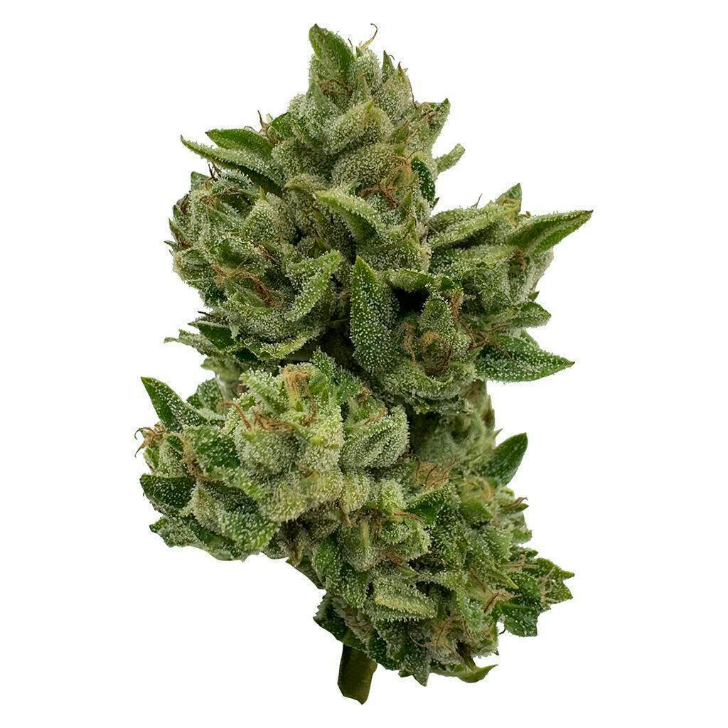 Deelish - Pretty Sweet Sativa - 28g