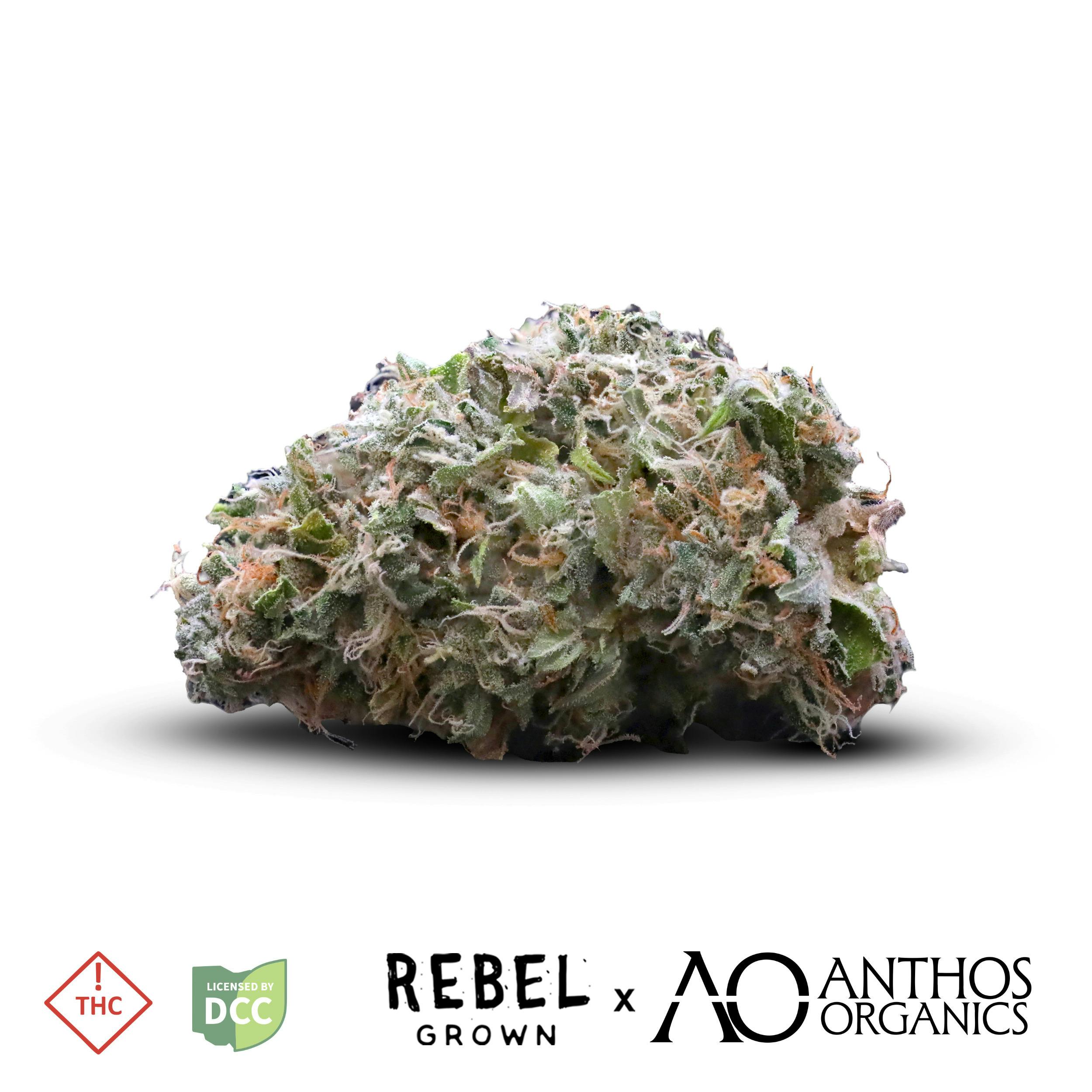 Rebel | Double OG Sour | 5.66g Juniors