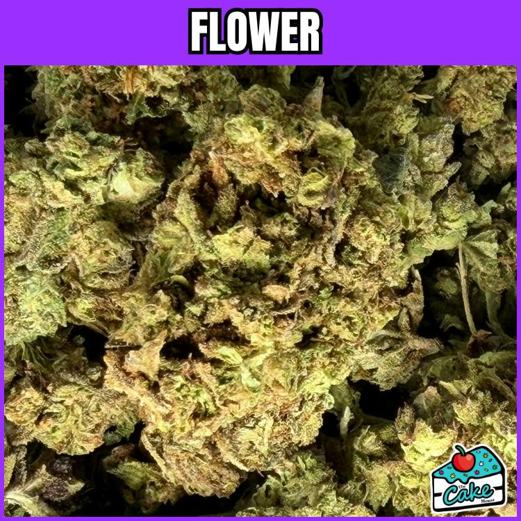 Oceana Gardens - Flower - Orange Cream Pop at The Cake House Ann Arbor Cannabis Dispensary