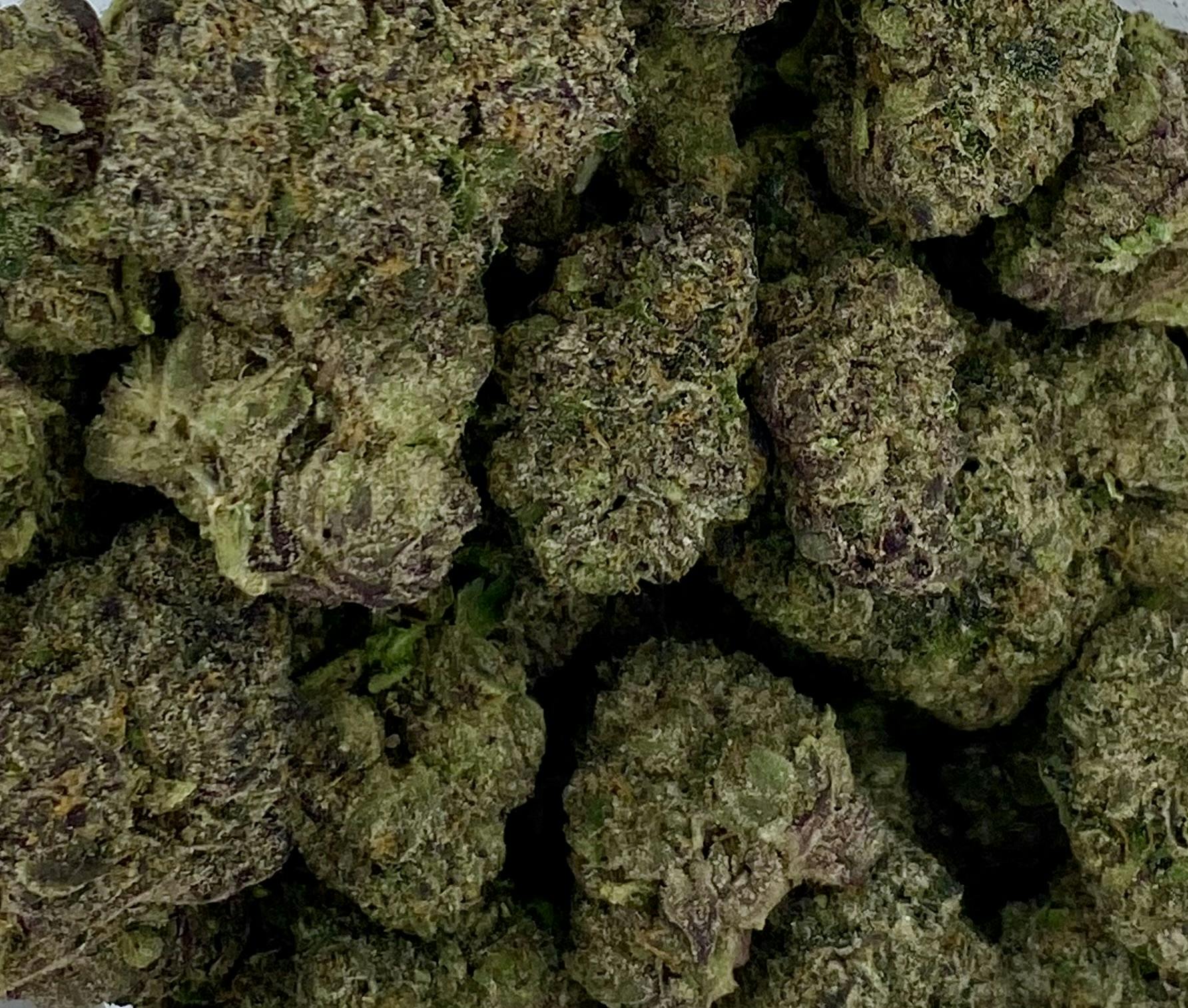 Tip Top Crop - Flower - Key Lime Pie