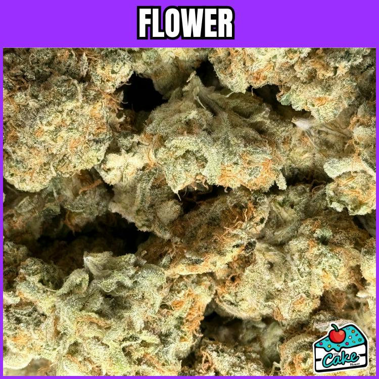 NOBO - Flower - Mom's Spaghetti