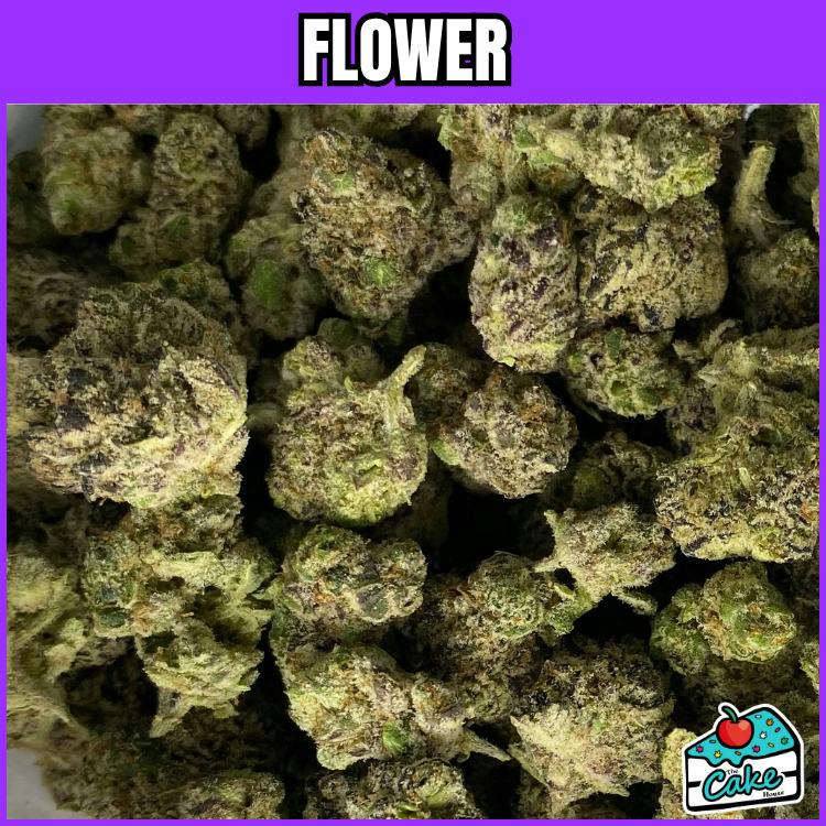 Flower Power - Flower - Pop Roxx