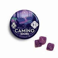 Kiva Confections — Camino Sours Blackberry Dream