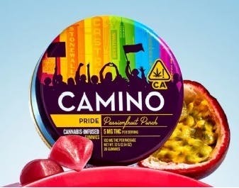 CAMINO — Pride Passionfruit Punch