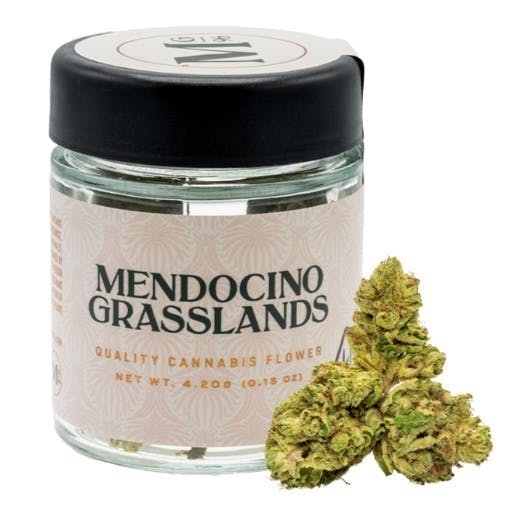 Mendocino Grasslands — Ice Cream Cake