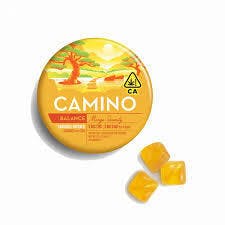 CAMINO — Balanced Mango Serenity