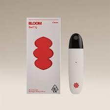 BLOOM — Guava Belts Surf