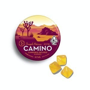 KIVA CAMINO GUMMIES — Pineapple Habanero