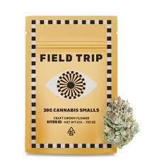 Field Trip: Triple Scoop