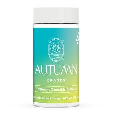 Autumn Brands — Mango Haze
