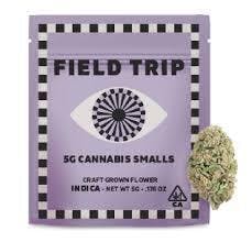 Field Trip — Gelato