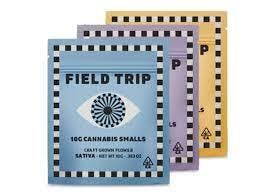 Field Trip — Gelato