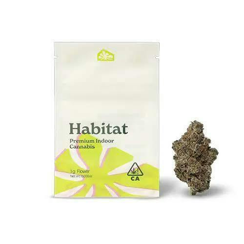 Habitat 1g Legend OG