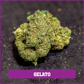 BONSAI | Gelato
