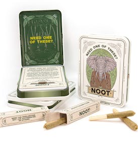 NOOT | 6PK JOINTS | INDICA