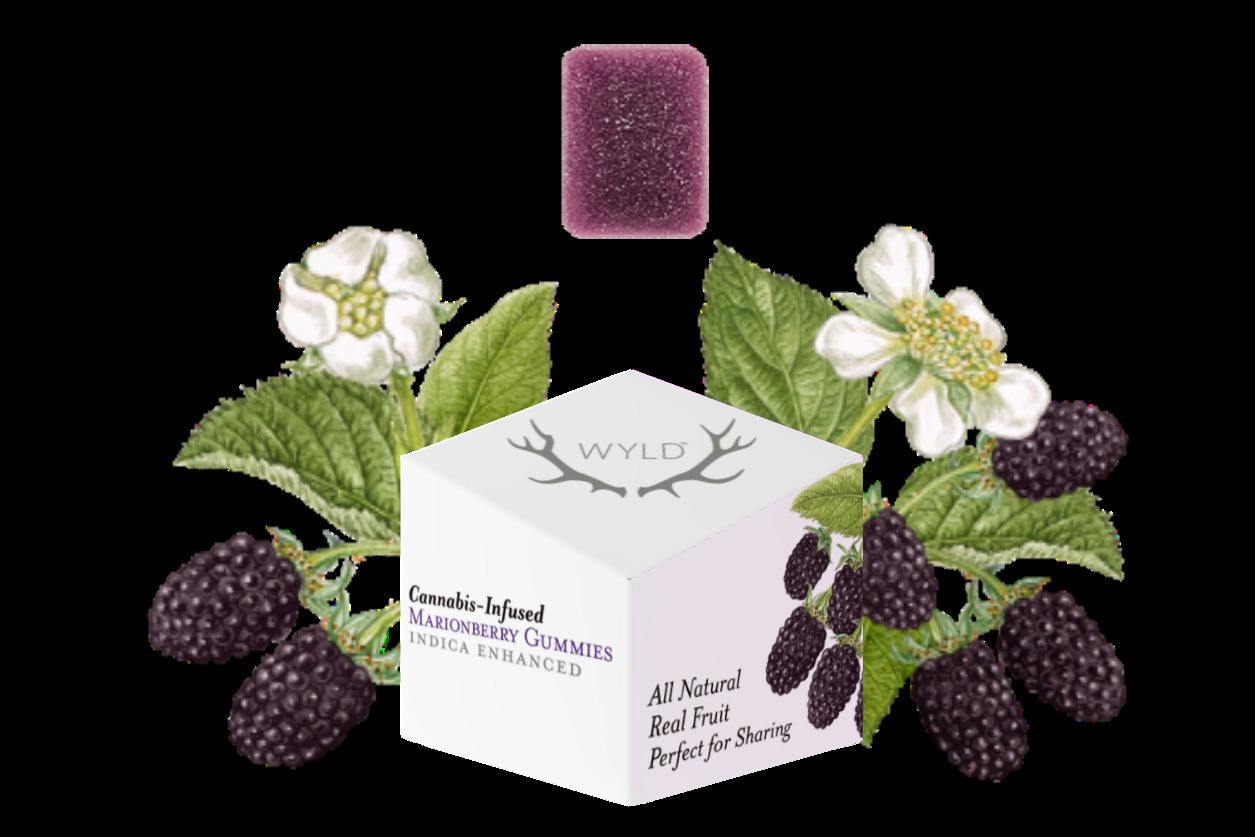 Wyld | Gummies | Marionberry Indica