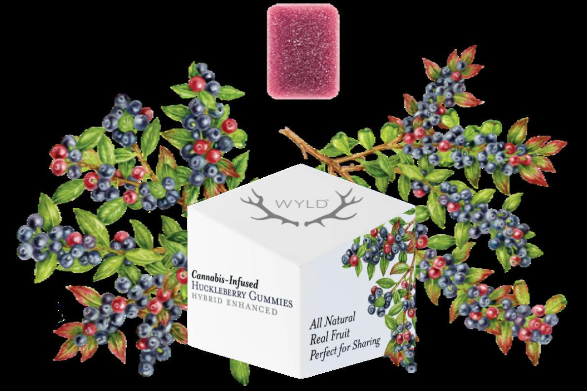 Wyld | Gummies | Huckleberry Hybrid