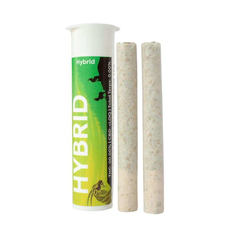 Kaprikorn | .75g Pre-roll 2pk | Sticky Buns