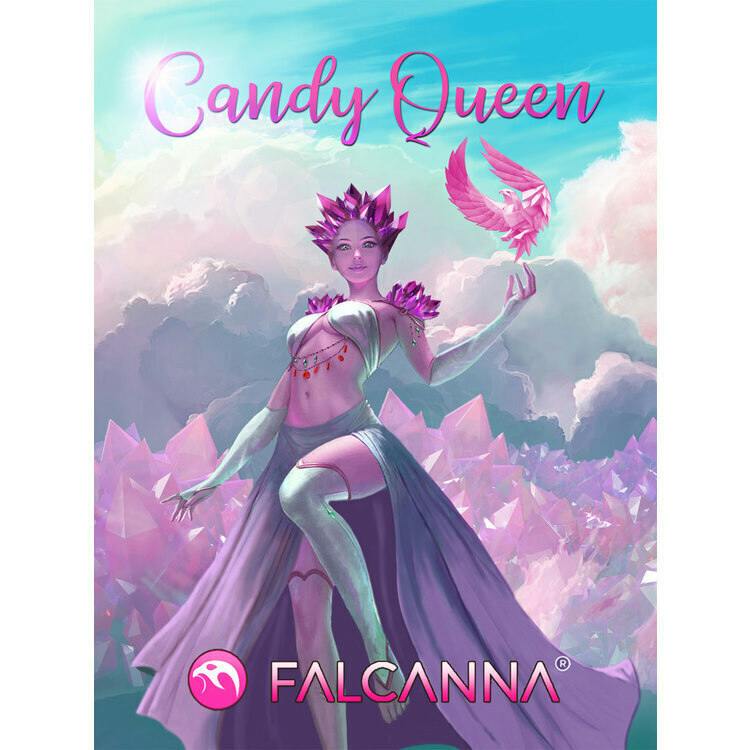 Falcanna Badder Candy Queen