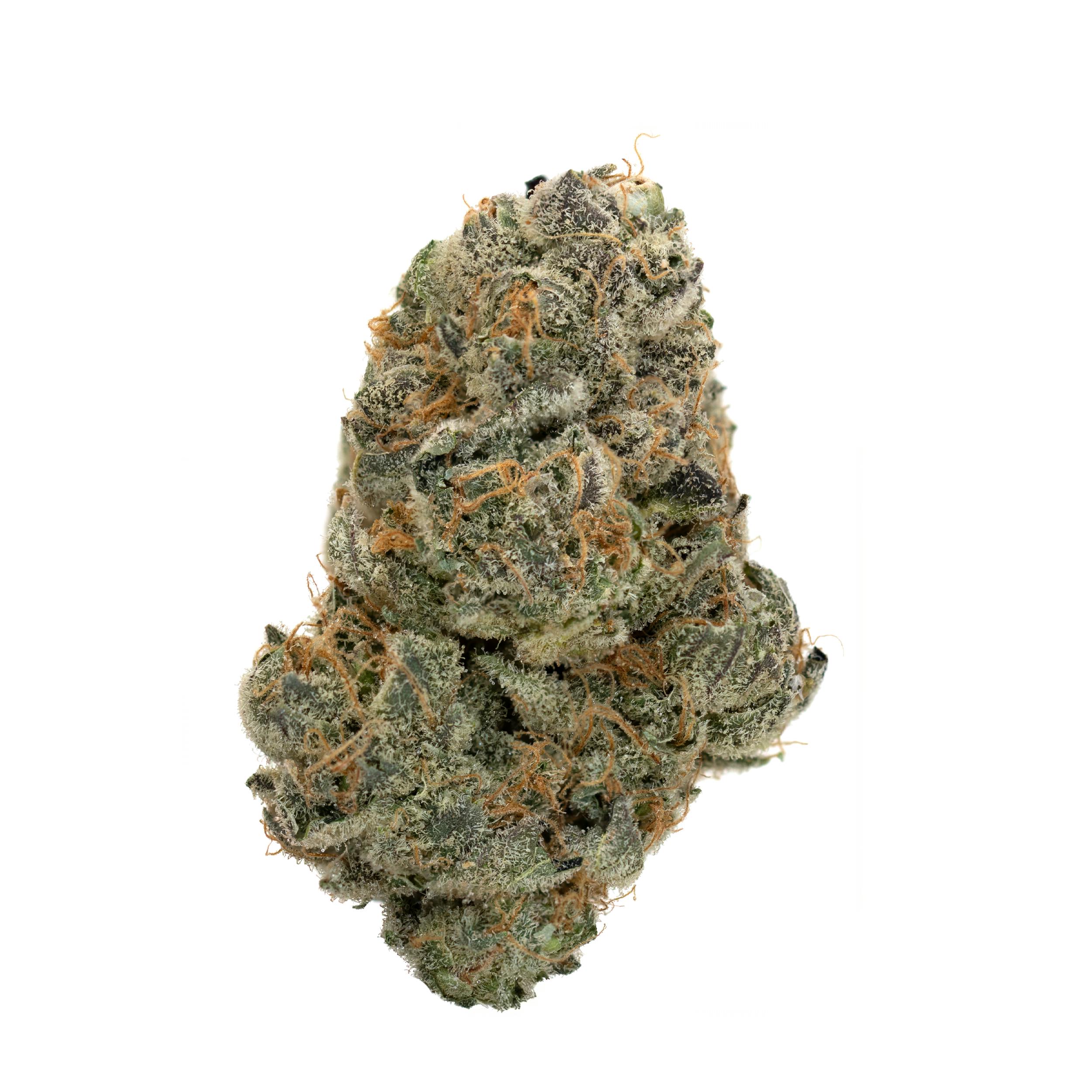 Lumberjacks Purple Cheese