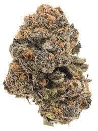 GDF F - 3.5g - Melted Ice Cream