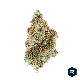 Florida Orange - Revolution Cannabis