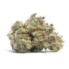 Cookies and Chem - Bold
